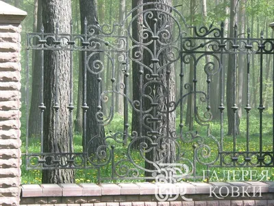 Забор решетка + элемент ковки | Ворота распашные, откатные, секционные,  автоматические - купить в Пушкинском районе. Макстрой.