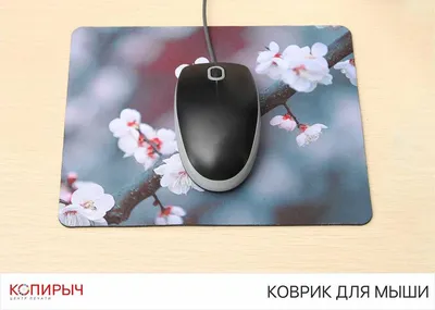 Коврик для мышки игровой купить в Новосибирске - Чизфото.ру