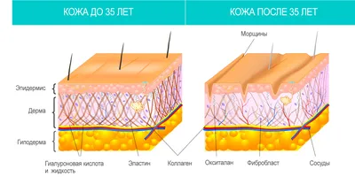 Кожа человека , эстетично, …» — создано в Шедевруме