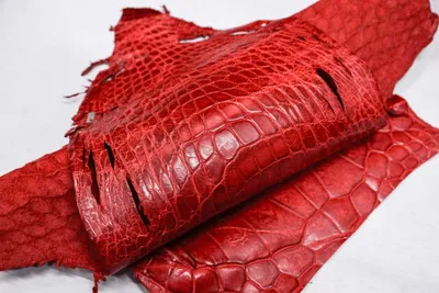 Женский кошелек из натуральной фактурной кожи крокодила | Купить с  доставкой за 16 660 руб. в Интернет Бутике \"Экзотическая кожа\"