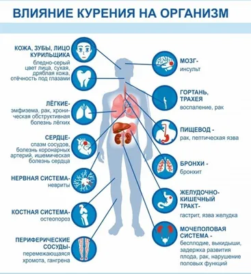 Курение оказывает негативное влияние на качество и внешний вид кожи лица. —  ГБУЗ \"Пензенская областная станция скорой медицинской помощи\"