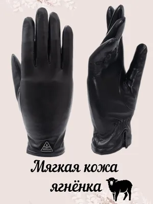 Купить Перчатки женские кожаные черные лайка теплые осенние за 2414р. с  доставкой