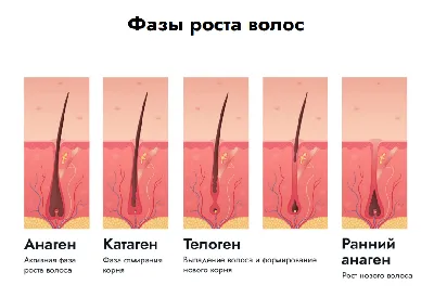 Лосьоны для ухода за кожей после депиляции — italwax