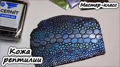 Женский кошелек из кожи змеи, экзотическая кожа, кошелек на молнии №530230  - купить в Украине на Crafta.ua