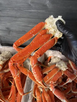 Фаланга краба-стригуна опилио, 1 кг | Интернет-магазин Mr. Crab
