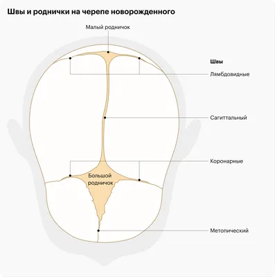 ГТРК «Алания» | Трехмесячной Дарине Адаевой требуется помощь для  продолжения лечения