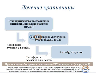 Amazon.com: Хроническая крапивница и хеликобактер пилори:  Распространенность инфекции H. pylori при хронической крапивнице и ее  корреляция с клинической тяжестью (Russian Edition): 9786202745314: Кохли,  Сакши, Махаджан, Викрам, Рана, Бальдев: Libros