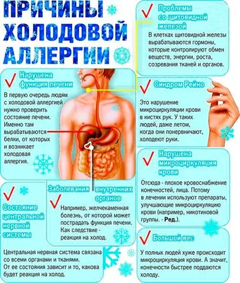 Холодовая и тепловая крапивница: откуда берутся и как эффективно  вылечиться? | Fenkarol | Дзен