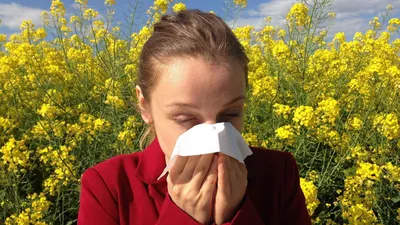 Аллергия на зиму. Врач рассказала, какие проблемы с кожей способна вызвать  холодная погода — Секрет фирмы
