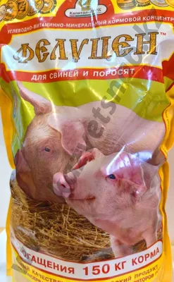 Преступная безответственность владельцев свиней - ГБУ КО «Жуковская  районная станция по борьбе с болезнями животных»