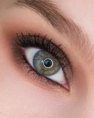 Как правильно красить глаза тенями: 2 пошаговых инструкции с фото