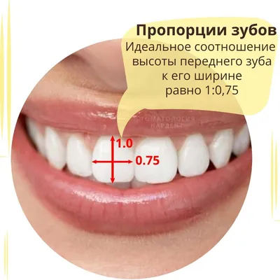 Формула идеальной улыбки — стоматология метро Каширская