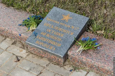 Обустройство могилы на кладбище цены в Белгороде: 13 граверов со средним  рейтингом 4.7 с отзывами и ценами на Яндекс Услугах.
