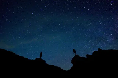 Красивые Ночное Небо — стоковые фотографии и другие картинки Небо - Небо,  Духовность, Луна - iStock