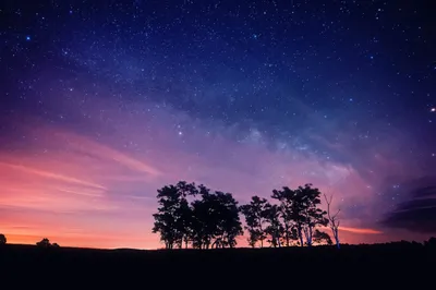 Красивое ночное небо, млечный путь, следы звезды и деревья Стоковое  Изображение - изображение насчитывающей галактика, звёздно: 47210489