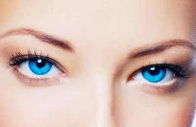 Красивый женский глаз с весьма длинными ресницами, черный состав вкладыша  Совершенный состав, длинные плетки Глаза моды крупного Стоковое Фото -  изображение насчитывающей женственно, ресницы: 118282606
