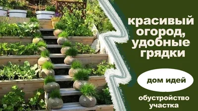 Клумбы своими руками - красивые клумбы и рекомендации по их оформлению |  DizajnHome.ru - мир интерьеров! | Дзен