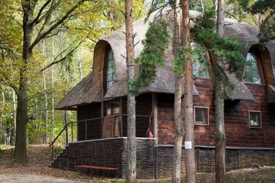 Самые красивые дома в лесу
