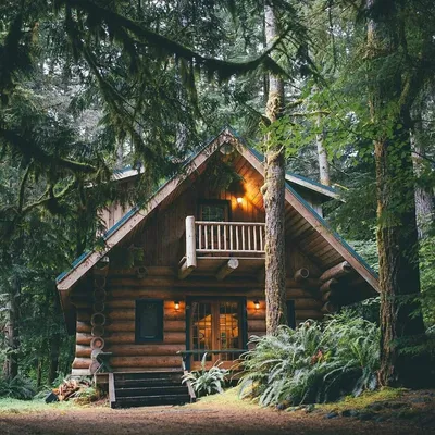 Дом в лесу обои - 69 фото