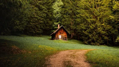 Дом в лесу | Домик на дереве, Домики, Лесной дом
