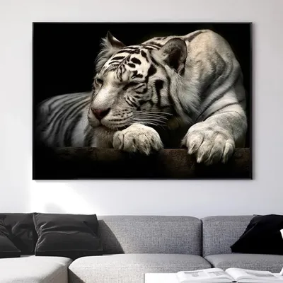 Белый тигр. White Tiger (60 обоев) » Смотри Красивые Обои, Wallpapers,  Красивые обои на рабочий стол