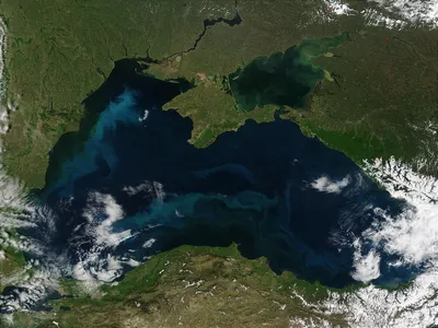 Черное море пора лечить — Новые Известия - новости России и мира сегодня