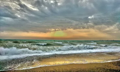 Водоросли Черного моря — Фото, названия и описание