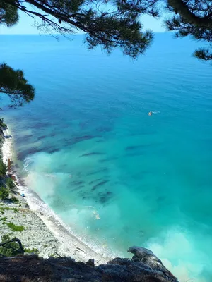 Дикий пляж на Черном море - фото прогулка в поисках красоты