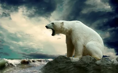 Воздушный красивый белый медведь из …» — создано в Шедевруме
