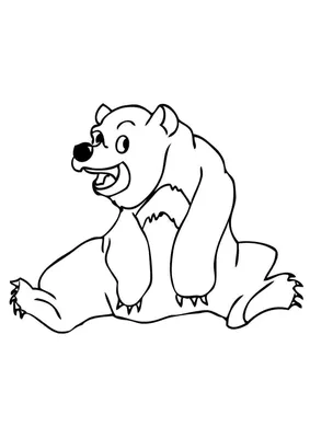 красивые картинки :: живность :: медведь :: art (арт) / картинки, гифки,  прикольные комиксы, интересные статьи по теме.