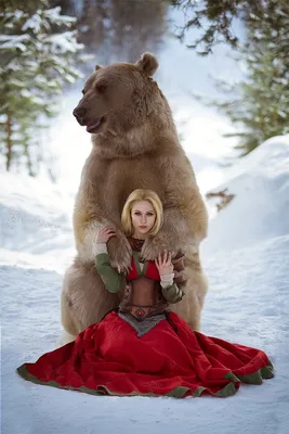 Медведь с открытым намордником Портрет коричневого медведя Портрет стороны  детали животного опасности Красивая большая среда обит Стоковое Изображение  - изображение насчитывающей сторона, открыто: 91591099