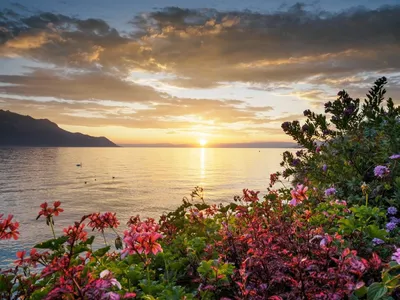 закат на море красивый красочный пейзаж с морем на рассвете Стоковое  Изображение - изображение насчитывающей цветасто, отражение: 229664455