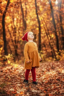 В осеннем лесу | Осенний ребенок, Осенние детские фотографии, Осенние  семейные фотографии