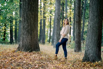 Осень в лесу: красивые пейзажи и теплый воздух» — создано в Шедевруме