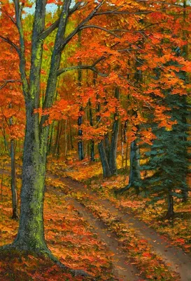 осенние листья в лесу на скале, красивые опавшие листья с солнечным светом,  завод, природный ландшафт фон картинки и Фото для бесплатной загрузки
