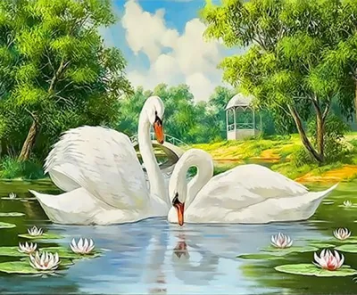 Лебеди на пруду (59 фото) - 59 фото