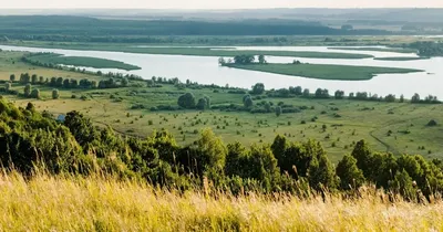 Волга река пейзаж - красивые фото