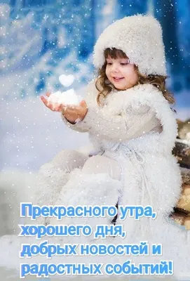 с добрым зимним утром и красивыми пожеланиями｜Поиск в TikTok