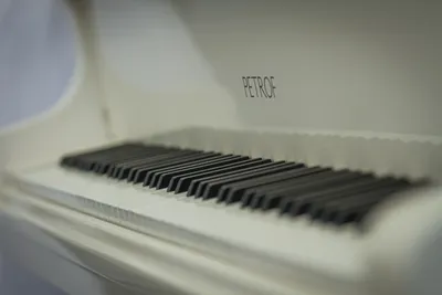 ОЧЕНЬ ПРОСТАЯ КРАСИВАЯ МЕЛОДИЯ на пианино Очень Легкая мелодия Very Simple  Piano Melody Beautiful - YouTube