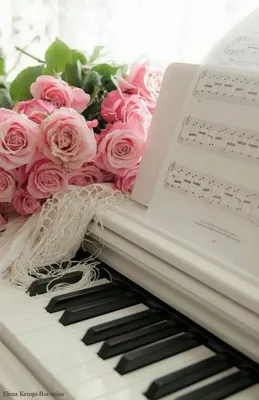 Pin by ⚜️ Natali ⚜️ Pank on ⚜️Just beautiful | Piano photography, Piano  art, Pink roses