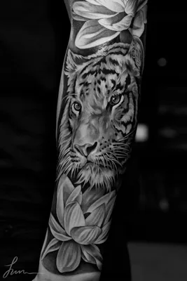 Crazy needless tatoo тату киев - Ну как могут не нравиться красивые  татуировки на женском теле tattoo studio @paladinartattoostudio tattoo  artist @_dmitriy_tkach #tattoo #tattoolife #tattooua #tattookiev  #0636101025 #dimatkach #crazyneedlestattoo ...