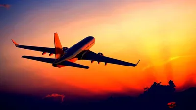 Пассажиры снова смогут летать прямыми рейсами из Сочи в Израиль