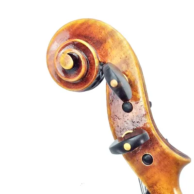 Красивые листы носа и скрипки на столе Стоковое Изображение - изображение  насчитывающей лук, представление: 180228563
