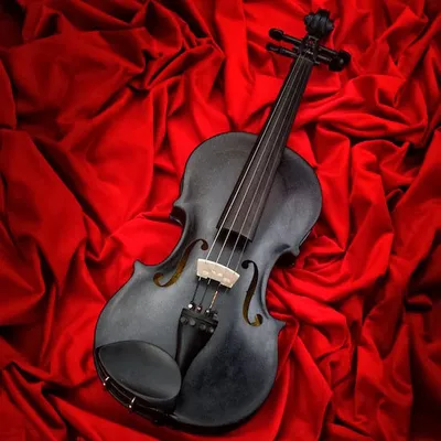 Может ли красиво звучать каменная скрипка? — Музей фактов