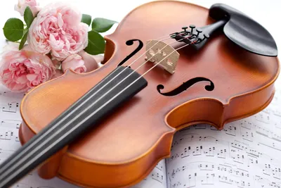 Красивая скрипка и смычок на цветном фоне :: Стоковая фотография ::  Pixel-Shot Studio