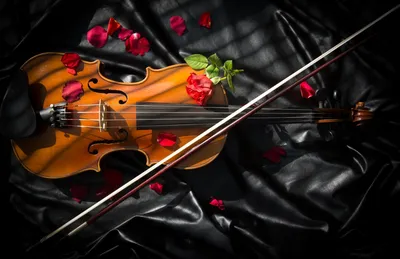 Красивые классические скрипка и лук на фоне. Музыкальный инструмент  Стоковое Фото - изображение насчитывающей наконечников, зрелищность:  182001764