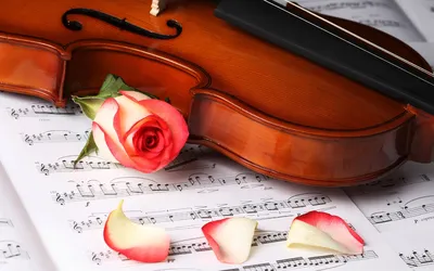 красивые розы и искусство скрипки музыкальный антиквариат Фото Фон И  картинка для бесплатной загрузки - Pngtree