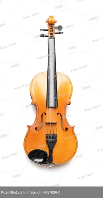 Красивая скрипка на белом фоне :: Стоковая фотография :: Pixel-Shot Studio