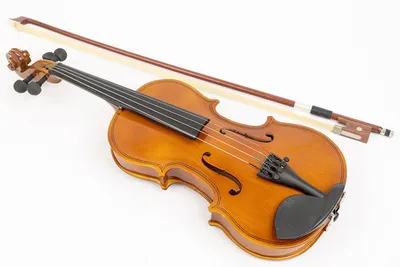 Красивая электрическая и акустическая скрипка зеленого цвета 5 струн 4/4, с  бантом | AliExpress