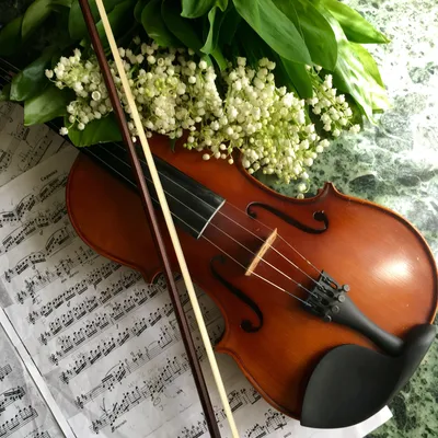 красивая скрипка и лук на столе. черно-белый тон Стоковое Фото -  изображение насчитывающей антиквариаты, классическо: 225799030